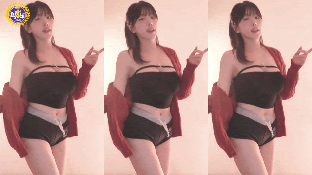 e0464d891d399b3b6761409210a048d8_1742912473_4256.gif